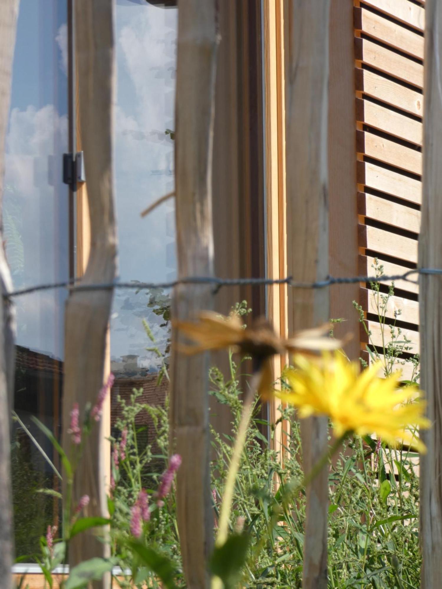 Stylische In Bestlage In Neugebautem Holzhaus Mit Appartement Oberstaufen