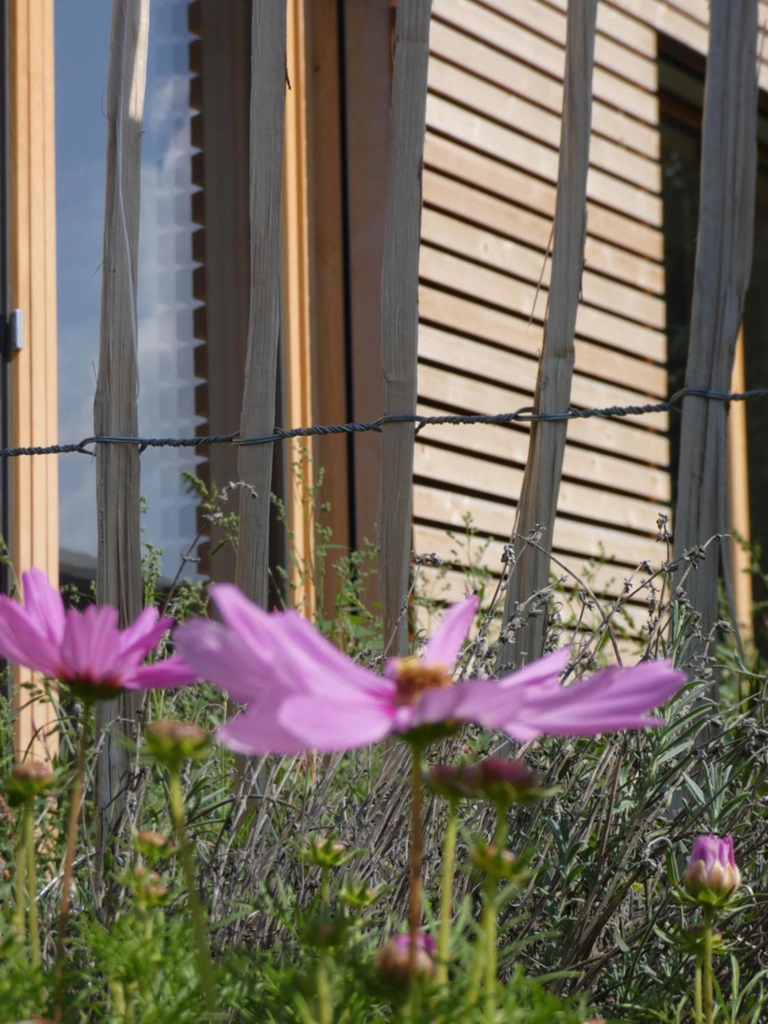 Stylische In Bestlage In Neugebautem Holzhaus Mit Appartement Oberstaufen